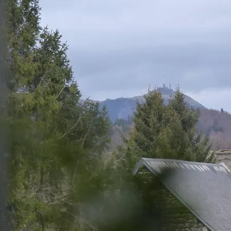 La Pierre Des Volcans Chaleureux Calme Champetre