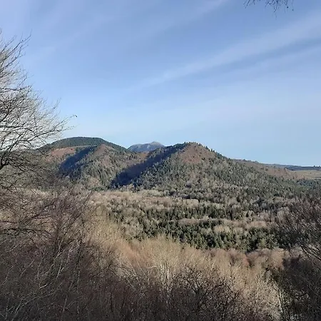 La Pierre Des Volcans Chaleureux Calme Champetre *