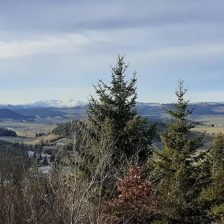 La Pierre Des Volcans Chaleureux Calme Champetre 아파트