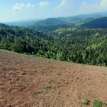Appartement La Pierre Des Volcans Chaleureux Calme Champetre *