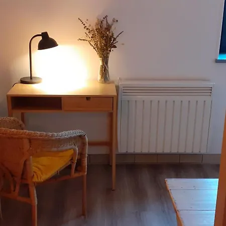 La Pierre Des Volcans Chaleureux Calme Champetre 아파트 *