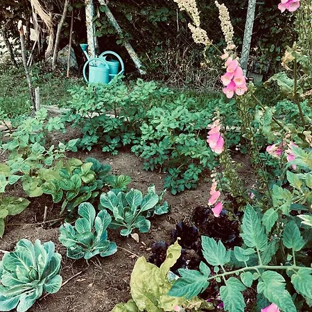 La Pierre Des Volcans Chaleureux Calme Champetre
